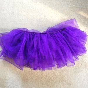 Purple Costume Mesh Tutu Skirt